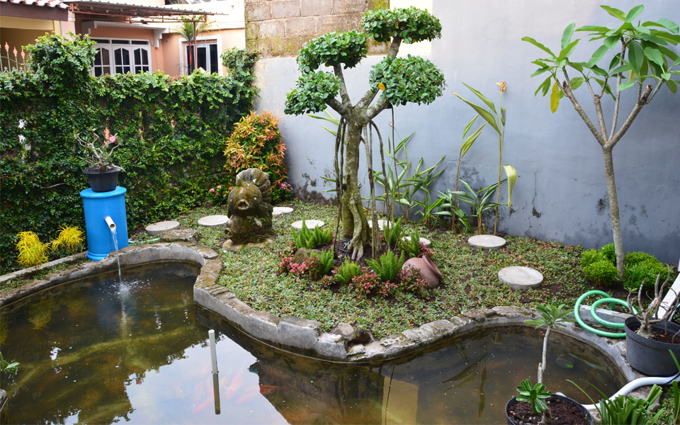 18636946.png Paisaje acuático de jardín.png